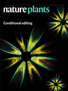 Nature Plants雜志封面